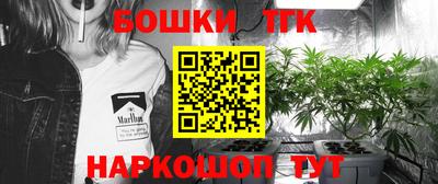 ешки Бийск