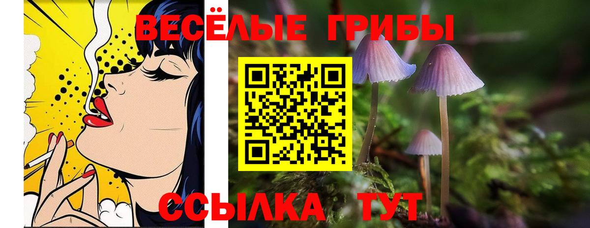 Галлюциногенные грибы MAGIC MUSHROOMS  Вход с VPN  Керчь 