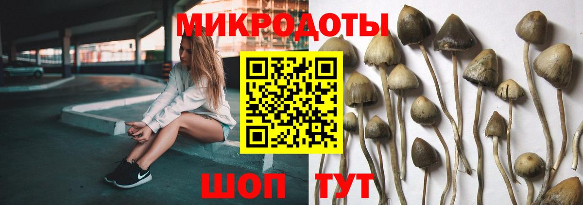 Галлюциногенные грибы GOLDEN TEACHER Керчь